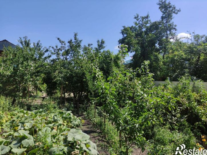 Земельный участок ДНТ Нива, Васильковая улица, 618