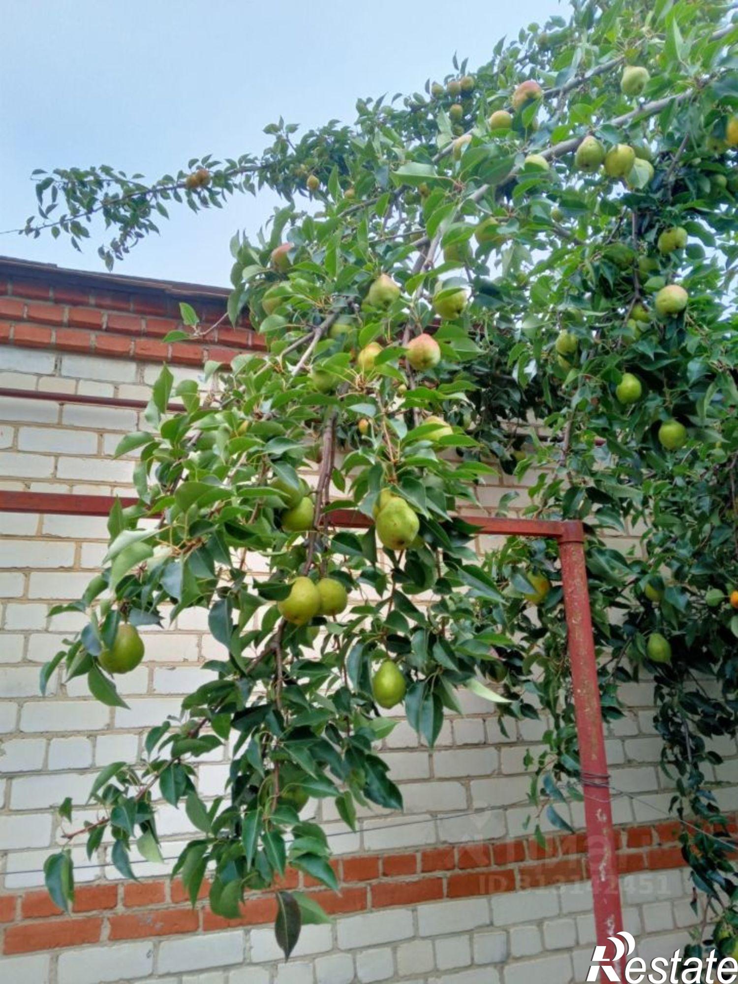 Купить дачу, дом, коттедж за 12 000 000 рублей на Иркутский проезд, 11