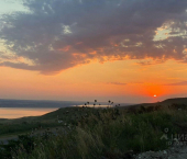 земля 12 сот садовое товарищество Зори Кавказа