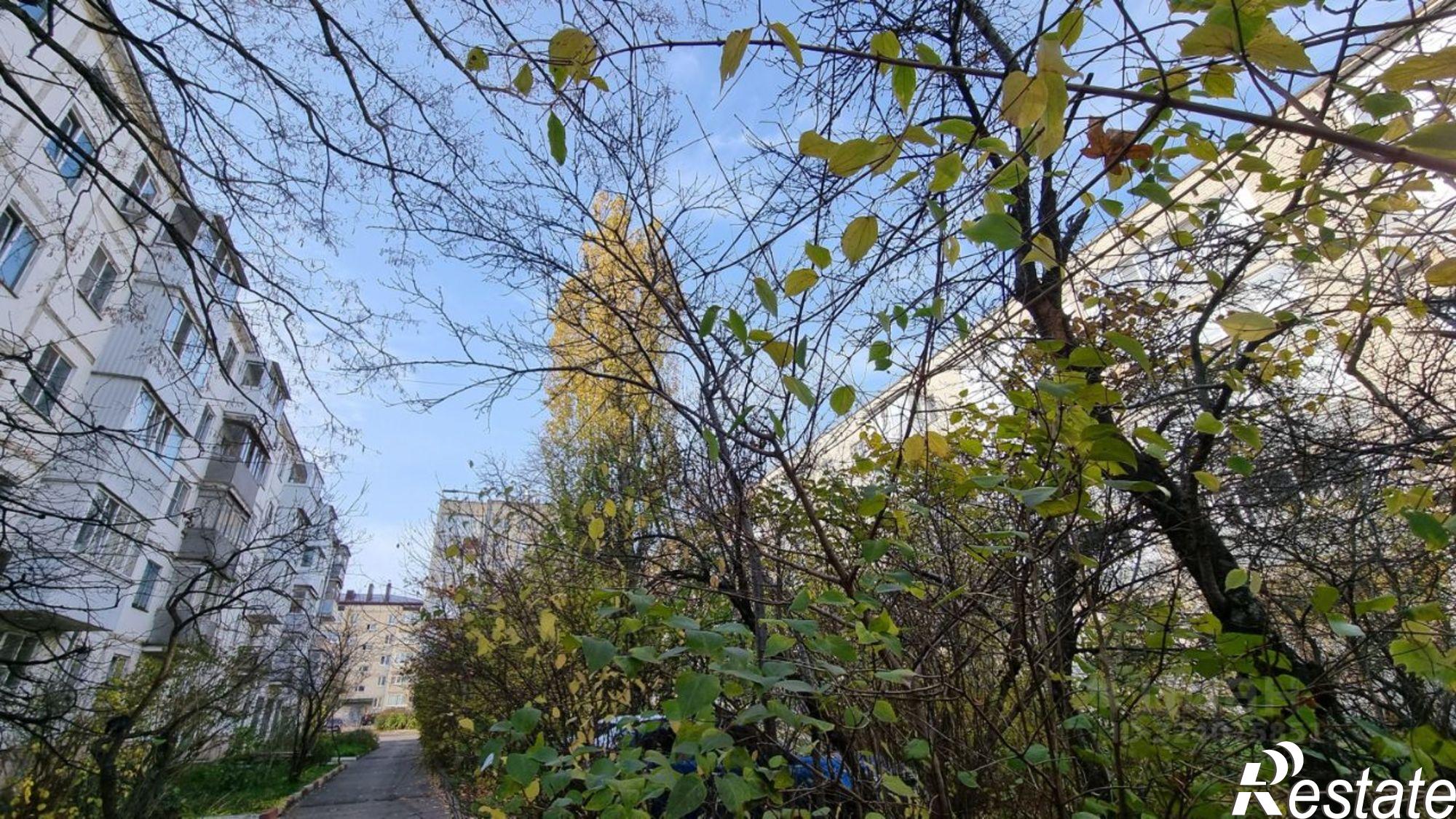 Купить квартиру за 3 600 000 рублей на Ботанический проезд, 12