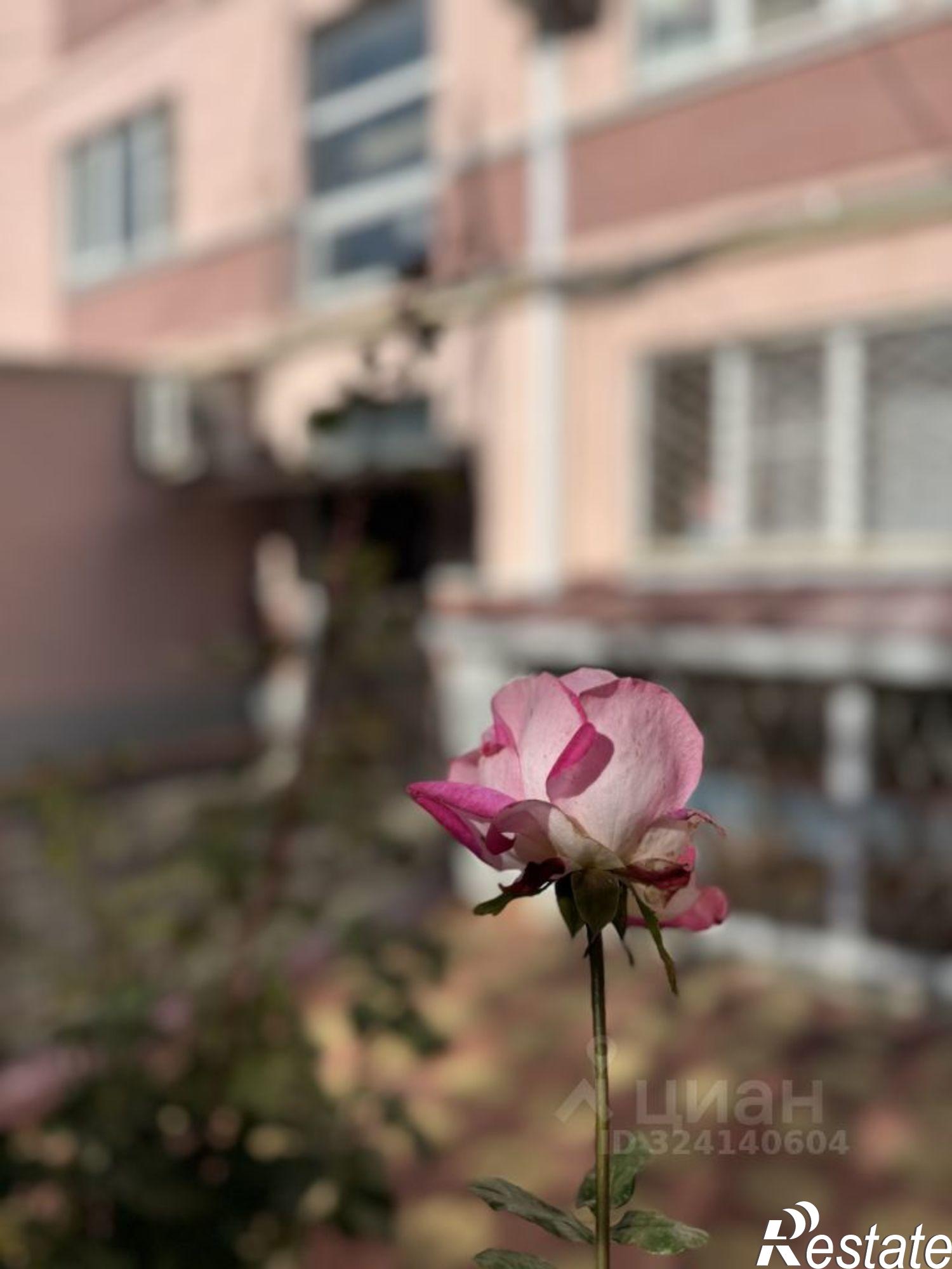 Купить комнату за 1 590 рублей на улица Серова, 2/2