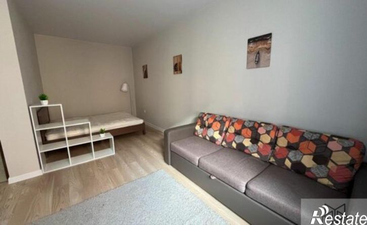 1-комн квартира улица Ленина, 244/2,  д. 244/2