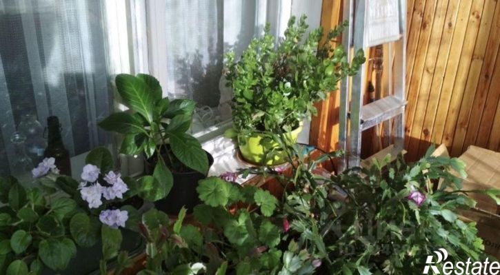 3-комн квартира ул Тухачевского, 3/1,  д. 3/1