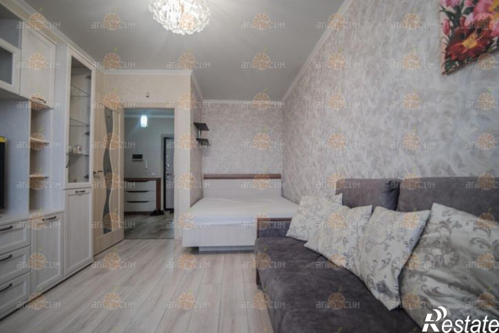 1-комн квартира Ашихина, 11