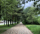 комната 80 кв м ул Балахонова, 13