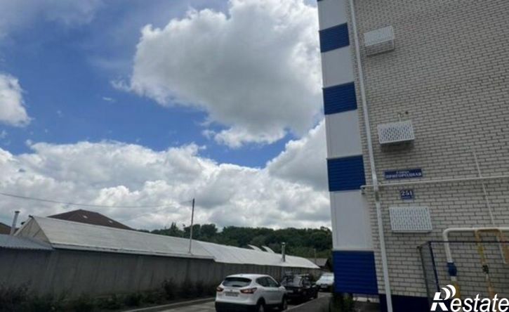 1-комн квартира Пригородная улица, 251 к1,  д. 251 к1