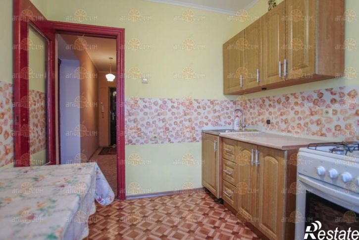 1-комн квартира Чехова, 49